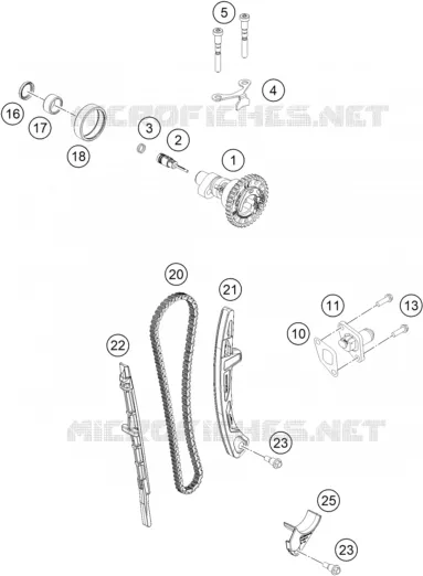 DISTRIBUTION