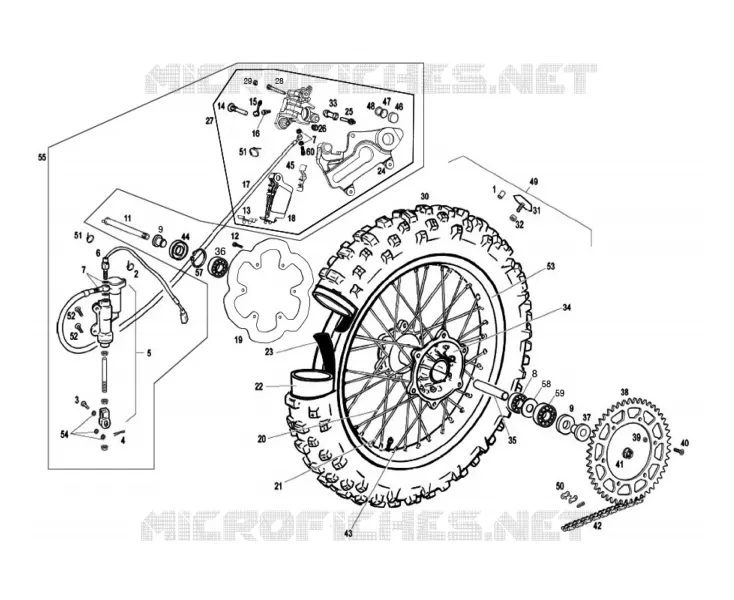 ROUE / FREIN ARRIERE