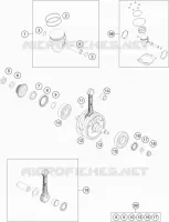 VILEBREQUIN / PISTON