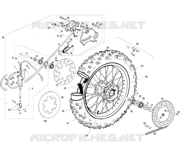 ROUE / FREIN ARRIERE