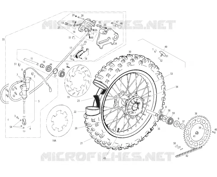 ROUE / FREIN ARRIERE