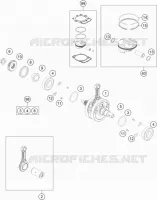 VILEBREQUIN / PISTON